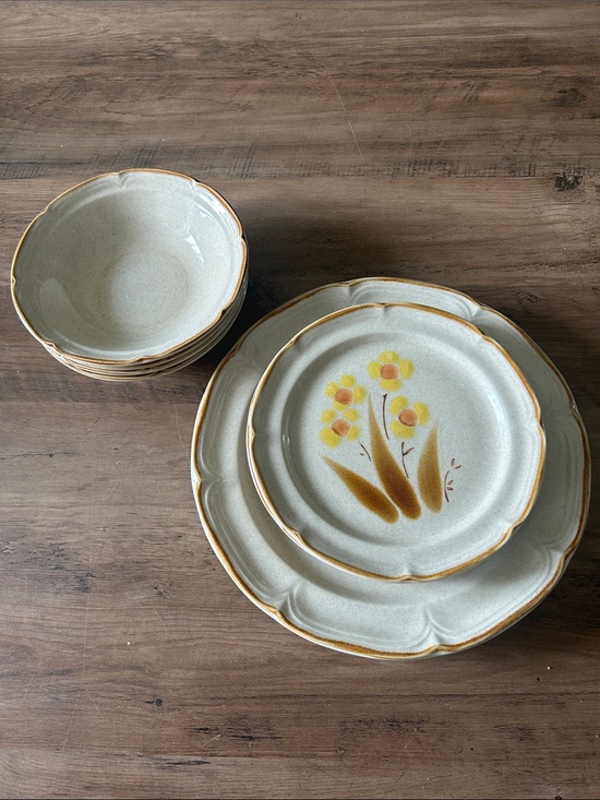Wellington Other - Hearthside Classics Wellington Hand painted Stoneware Dinnerware set of 9 pcs